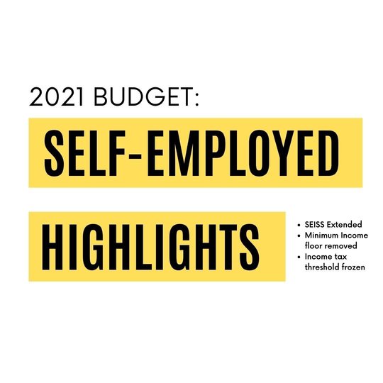 What Self Employed Professionals Should Know About the 2021 Budget